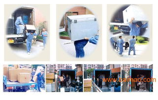 台江区搬家公司价格与口碑服务指南