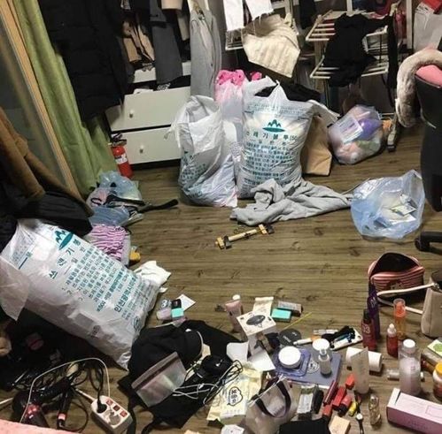 吉米日式搬家 解锁便捷高效的搬家新模式